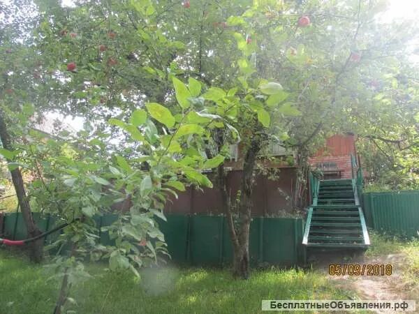Шалово. Дача шумейка энгельс ассамблея. Дачи шалово. Энгельс шалово. Дачи шалово.