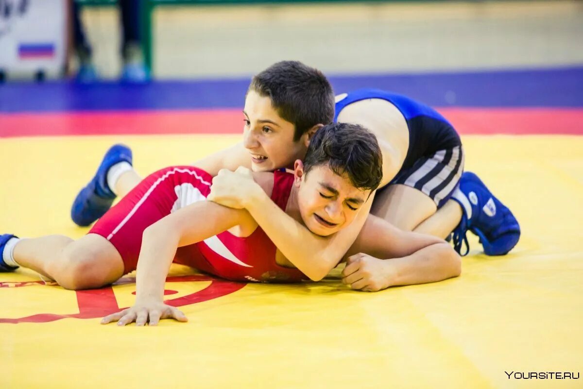 Приемы в партере вольная борьба. Борьба учит. Грэпплинг ги. Борьба www. Детская борьба.