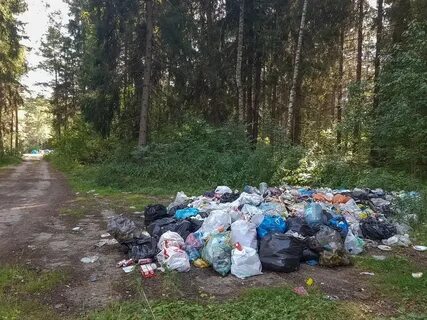 Проблемы подмосковья