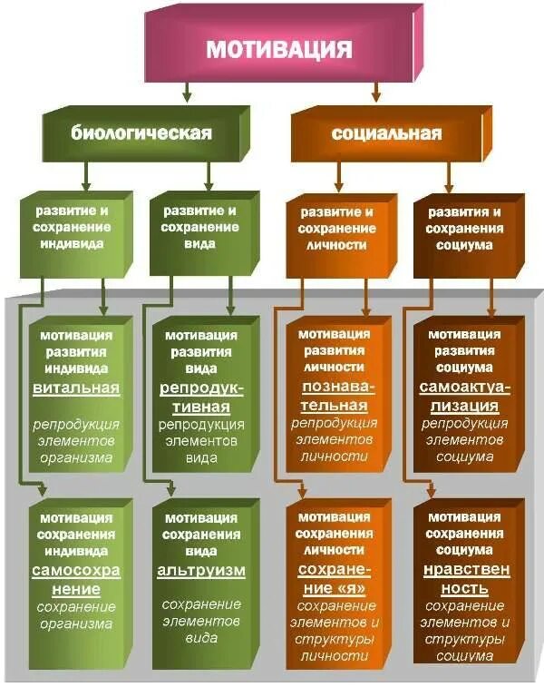 Виды и свойства различных структур. Типы мотивации в психологии. классификация видов мотивации. мотивация. виды мотивов личности.. классификация мотивов в психологии.