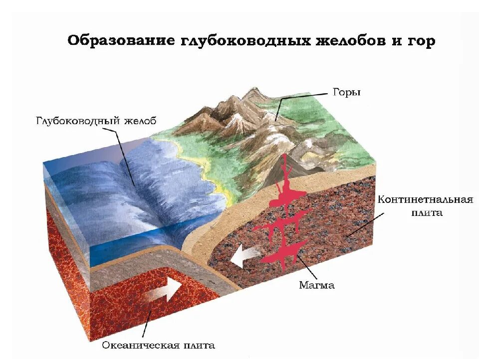 Почему образовались горы. Схема образования гор. Образование гор на земле. Тектоническое образование гор. Причины образования гор.