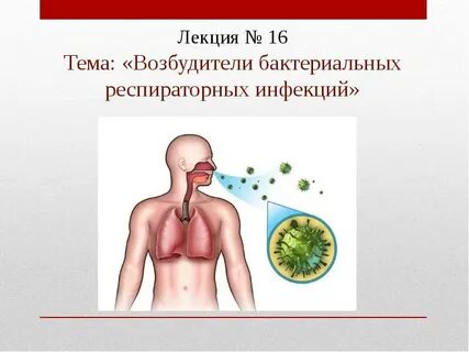 Бактериальные инфекции заболевания возбудитель