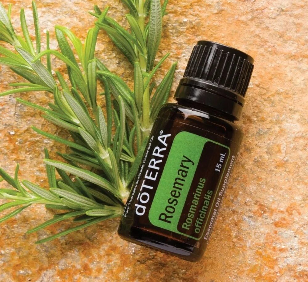 Free Photo Rosemary oil in bottle with rosemary plants