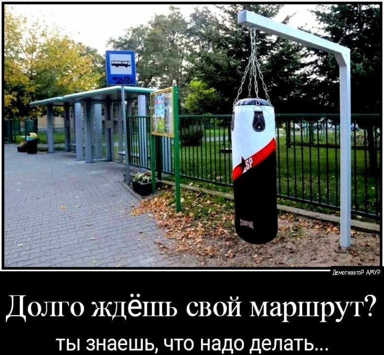 Груши околачивать. Висит шруша нельзя скучать. Висит груша нельзя скушать юмор. Загадка про лампочку для детей. Загадка про лампу для детей.