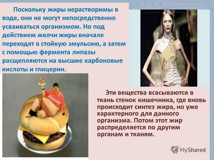 Не усваивает жиры и