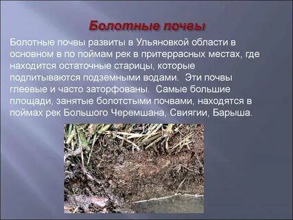 В почве развиваются