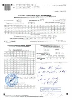 Налоговая декларация 1152017