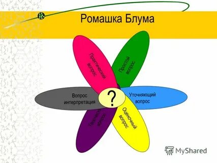Ромашка блума