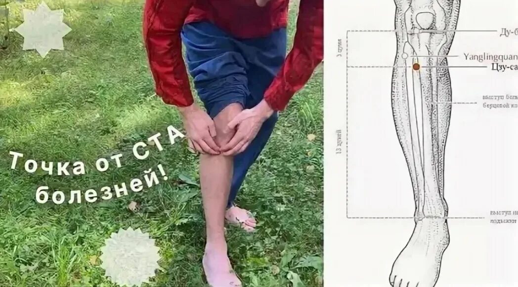 Биологически активные точки - точки акупунктуры. Меридианы на лице человека схема. Точки акупунктуры для улучшения слуха. Точки молодости. Точки на лице для массажа.