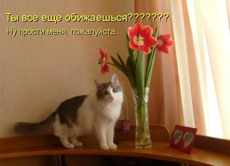 Извини найди пожалуйста