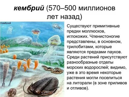 Ранняя эра