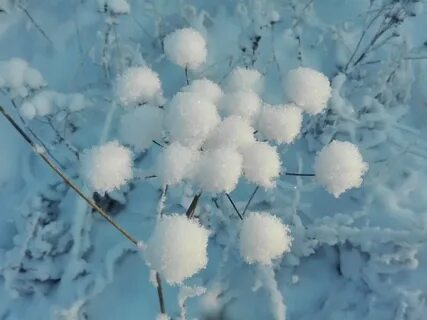 Пушистая снежная бахрома