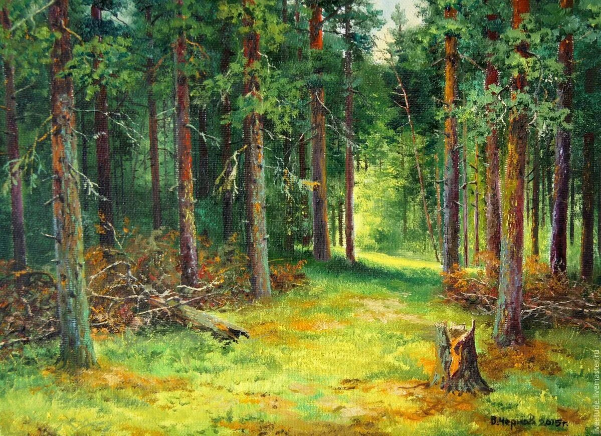План утро в лесу