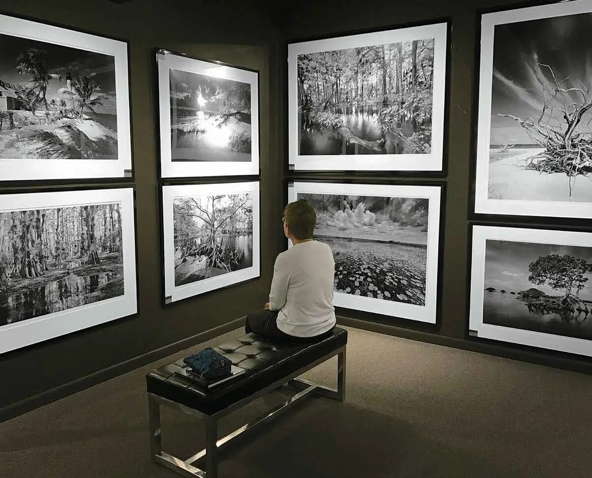 Art gallery. галерея картин. современные арт галереи. галерея современного искусства namegallery санкт-петербург. файн арт галерея.