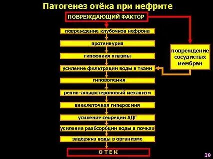 Этиология нефрит