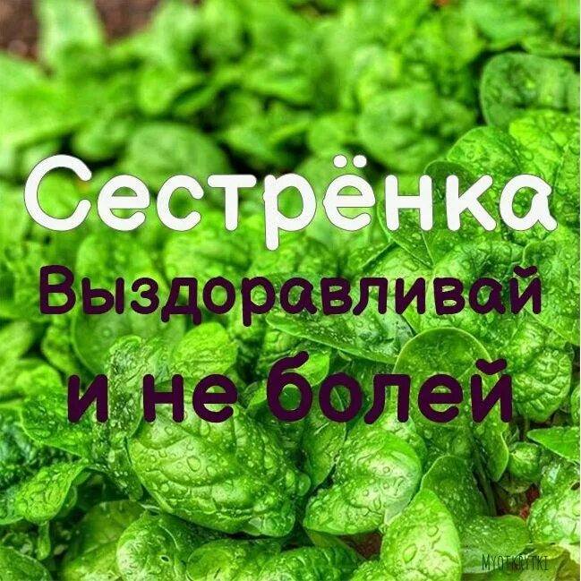 Мама не болей родная. Скорейшего выздоровления сестренка. Выздоравливай картинки. Сестре с выздоровлением. Выздоравливай сестреночка.