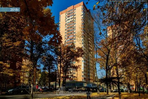 Химки кирова 10