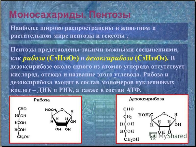 Какие органические соединения называют углеводами