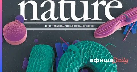 Nature science