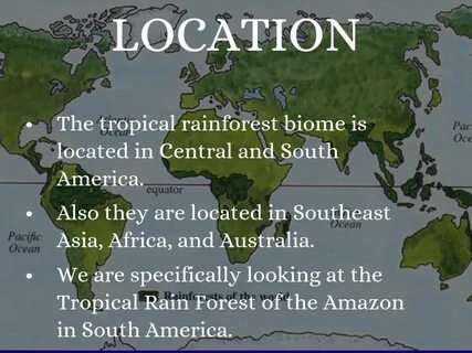 Were are the forests