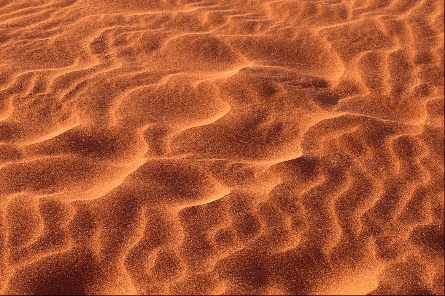 раскаленная пустыня. раскаленный зной. летний зной. текстура металла. огненная лава огненная лава огненная лава.