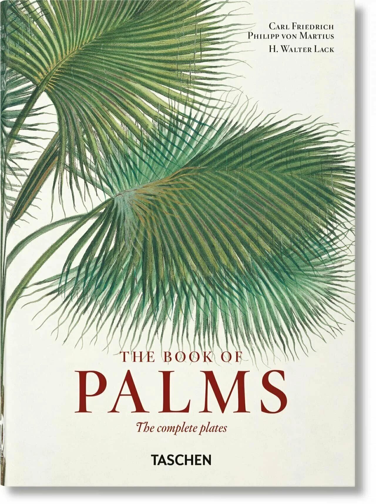 Дикие пальмы книга. Taschen книги. Книга Пальма. Book of Palms Walter lack. Martius: the book of Palms.