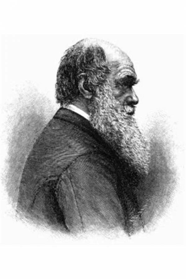 Дарвин первым. Дарвин первым. Дарвин первым. Charles robert darwin. Ччарльз робер т дарвин.