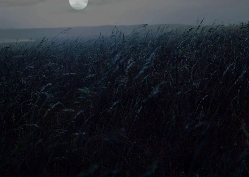 Жанр эмбиент. Эмбиент. ambient фото. эмбиент арт. темный эмбиент.
