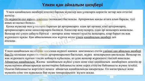 Аналь - менің сүйікті позициям.