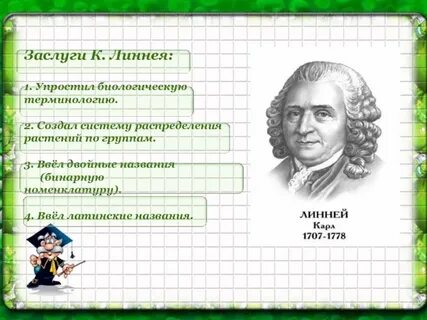 Чем удобны двойные названия