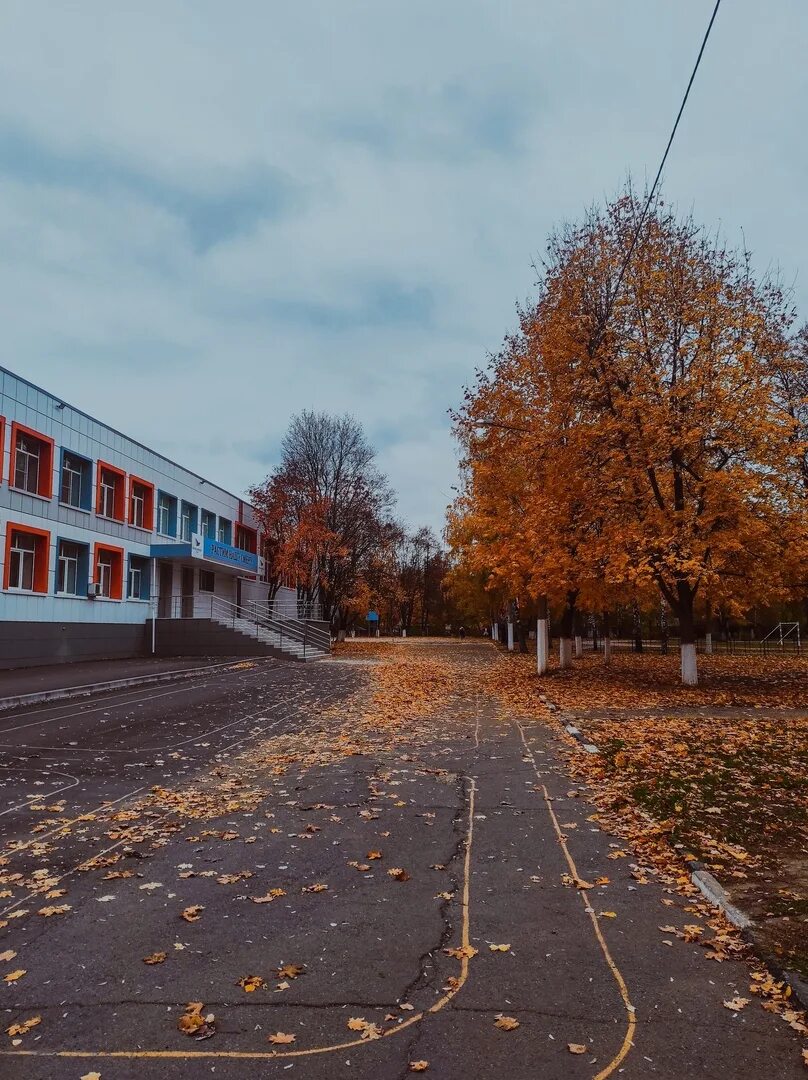 Осенний старый Оскол. Осень в Старом Осколе. Школа 13 старый Оскол. Школа 23 старый Оскол. Школа 17 старый оскол