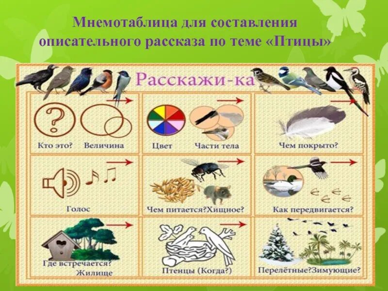 Составление рассказа о зимующих птицах. Мнемотаблица по перелетным птицам. составление рассказа о птицах для дошкольников. мнемотаблица по зимующим птицам. схема описания птиц.