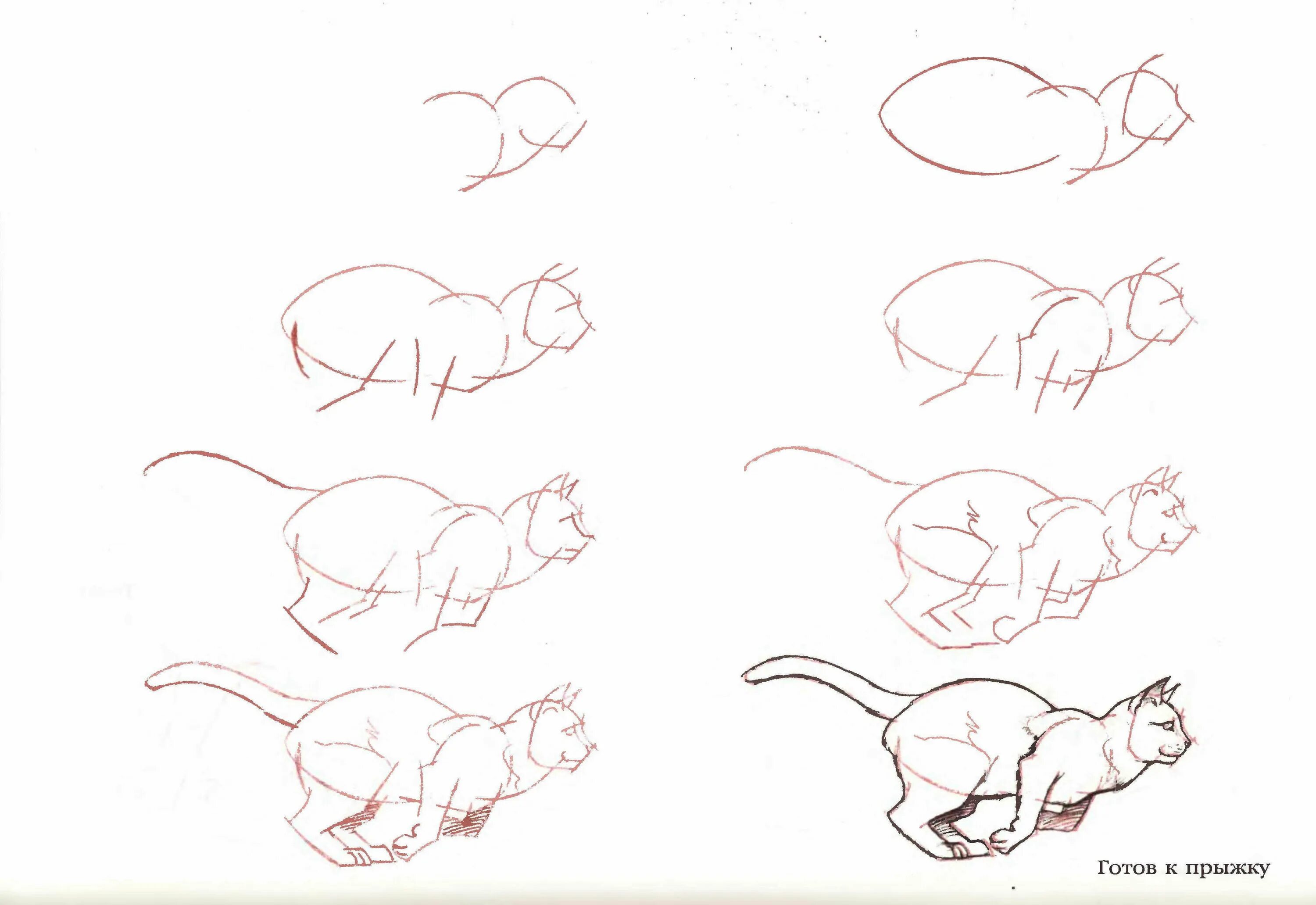 Как нарисовать кошку есть