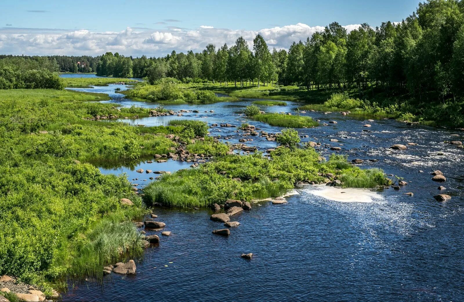 Река. Реки России. Ректа. Река фото. Почему некоторые реки