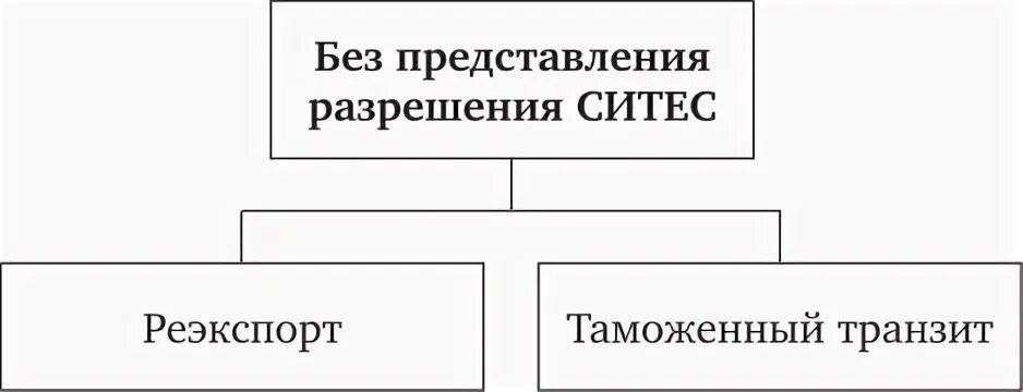 Без представления