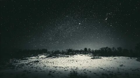 Снег с неба темного белый снег