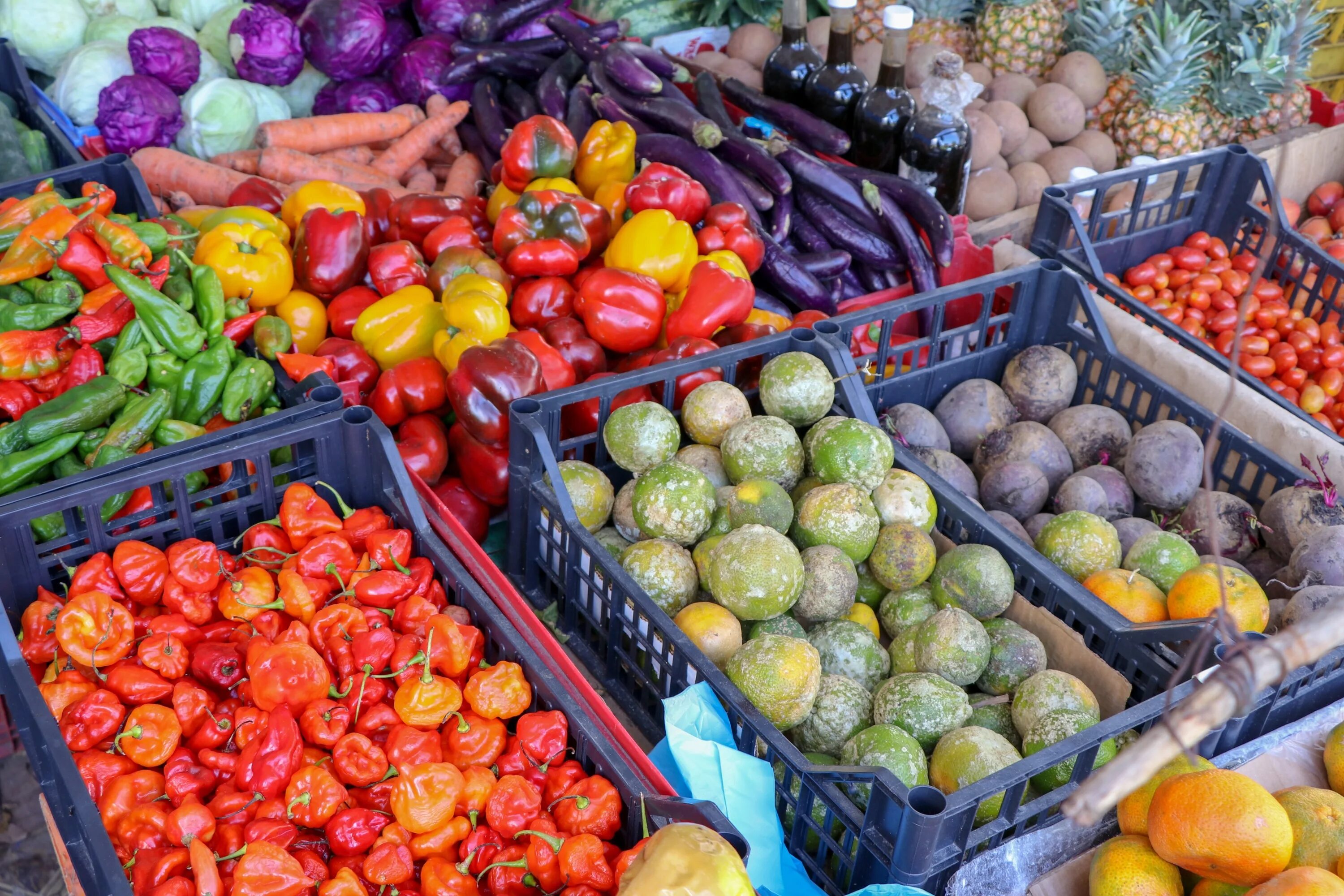 Где купить фрукты овощи. Шарм-Эль-Шейх фрукты. Шарм-Эль-Шейх рынок фруктов. Фруктовый рынок. Овощной рынок.