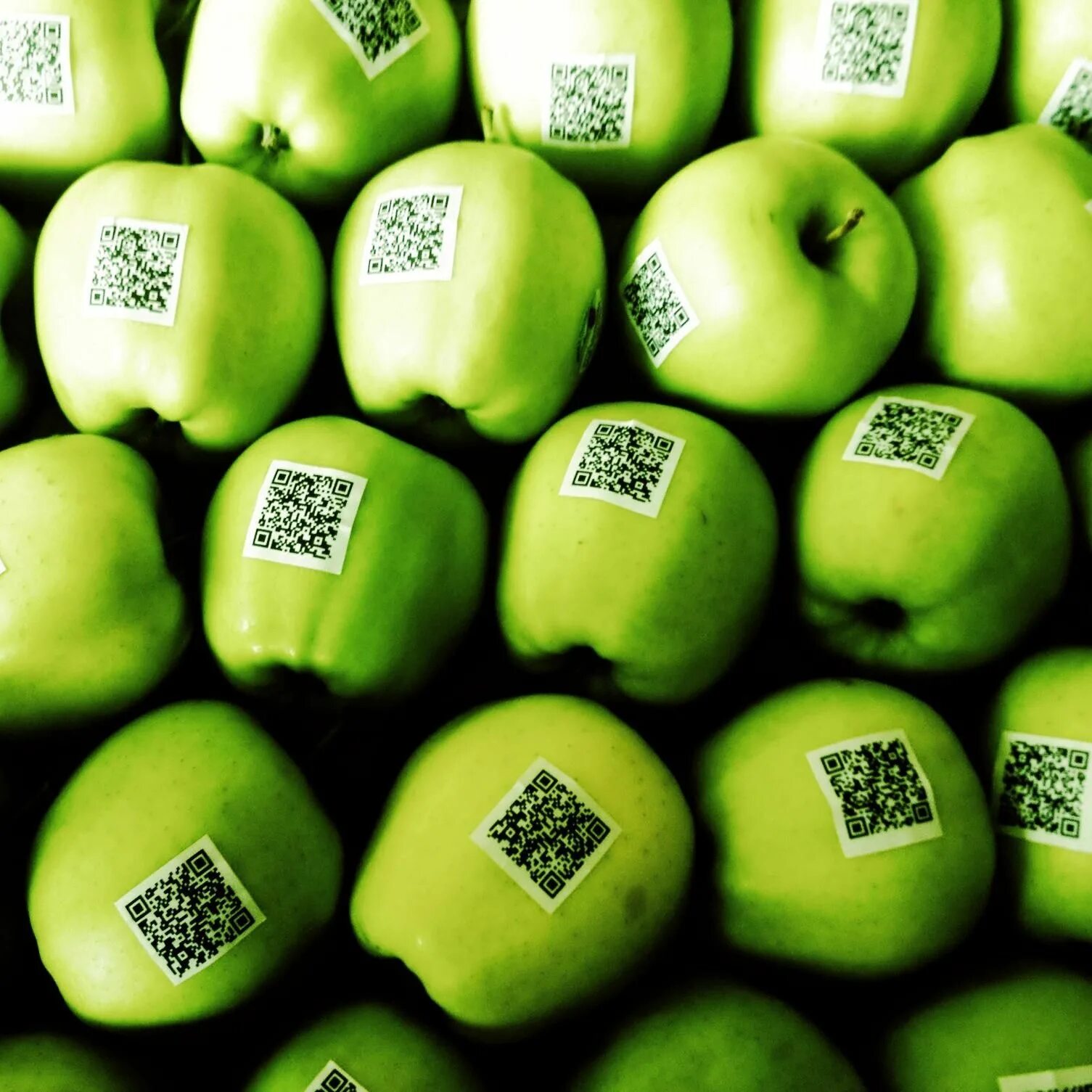 Код яблока. QR код на упаковке продуктов. QR code Label. Qr код apple