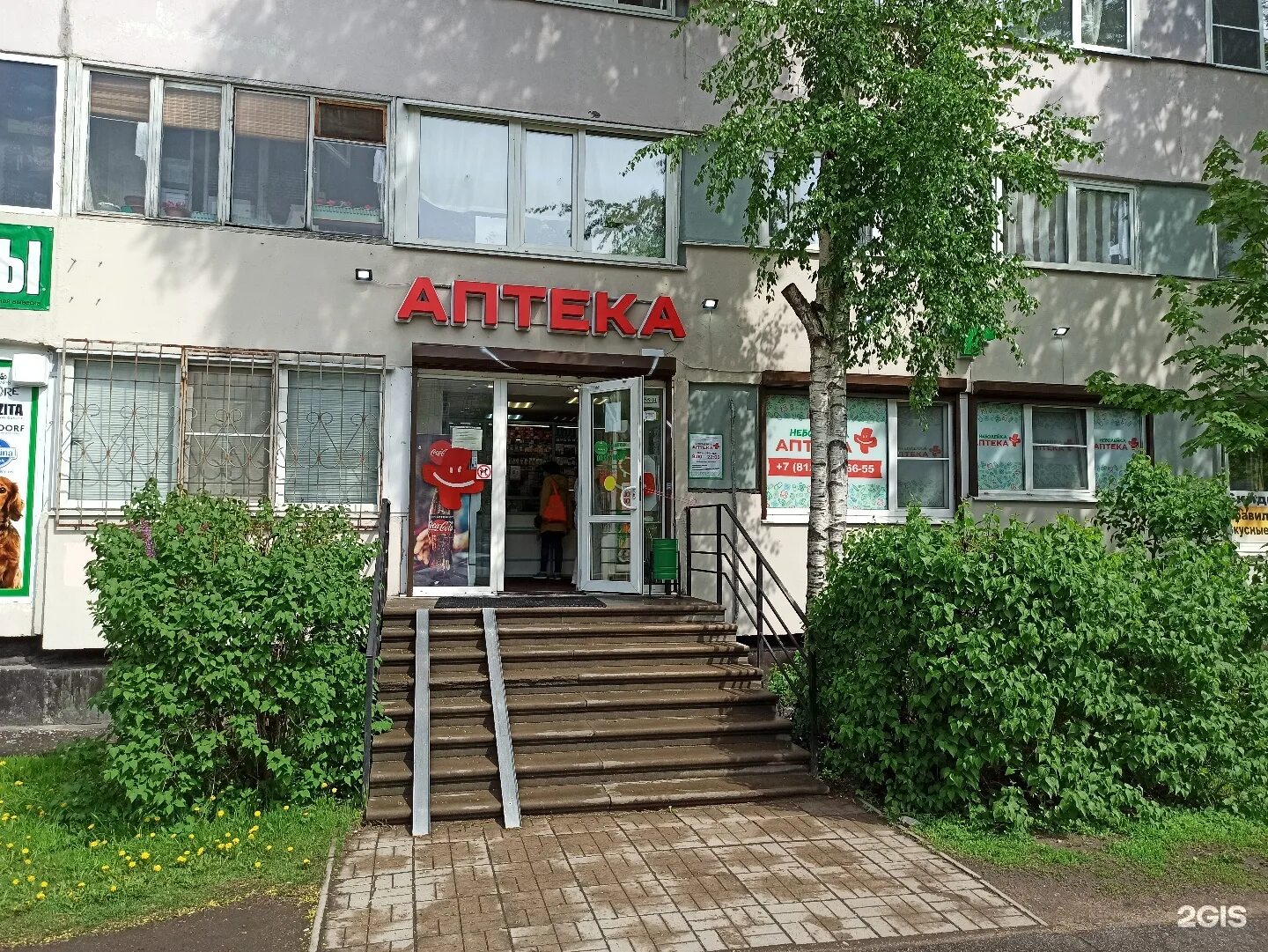 Аптека неболейка в спб. Аптека композиторов 22. Аптека неболейка на просвещения 24/2. Аптека неболейка на просвещения 24/2. Неболейка просвещения 20/25.