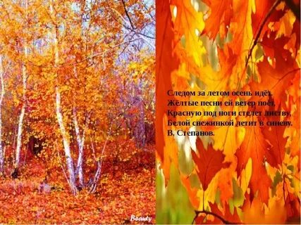 След золотая осень