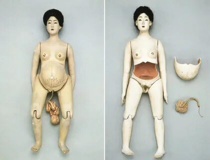 29 Anatomical Models That Will Haunt Your Dreams Tonight 