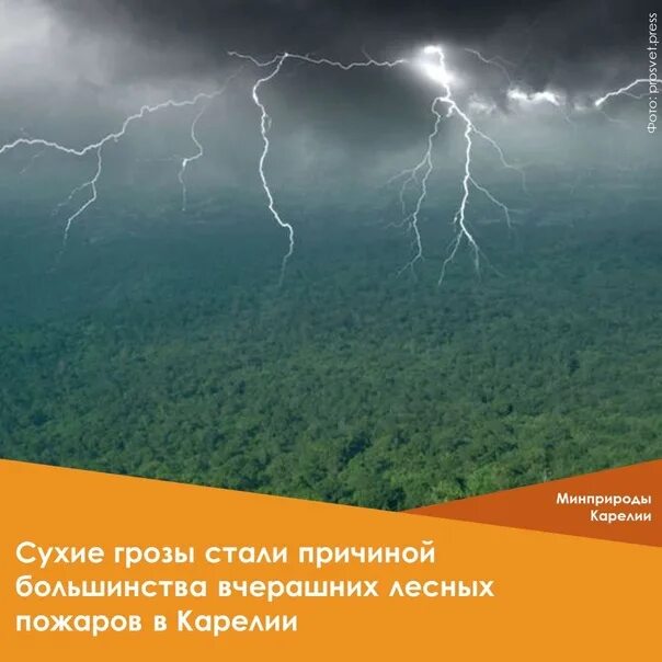 Пожар в лесу. Надвигается гроза. Сухая гроза фото. Утренняя гроза. Грозовые тучи.