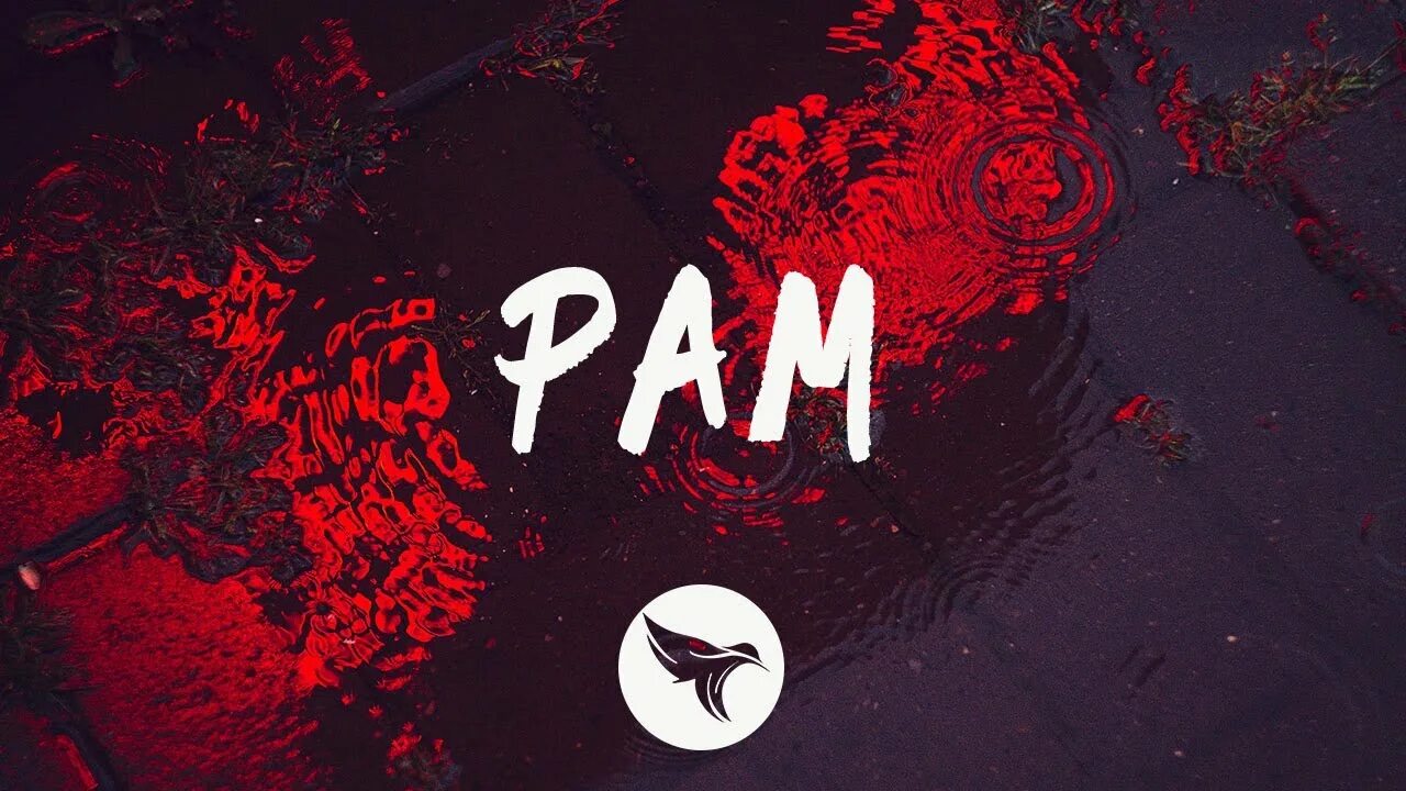 Pam c. Pam c