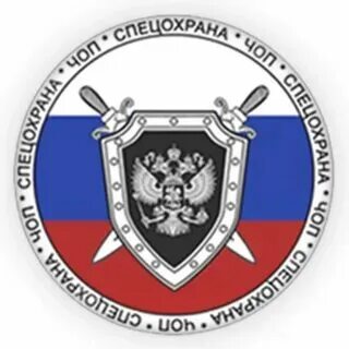 Организация деятельности добровольной пожарной охраны. Структура группа охраны общественного порядка. Общественная организация охранного. Органы общественного порядка. Общественная организация охранного.