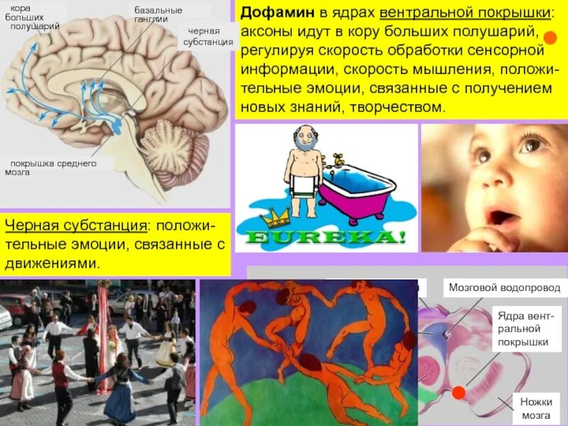 Тактильную информацию человек получает