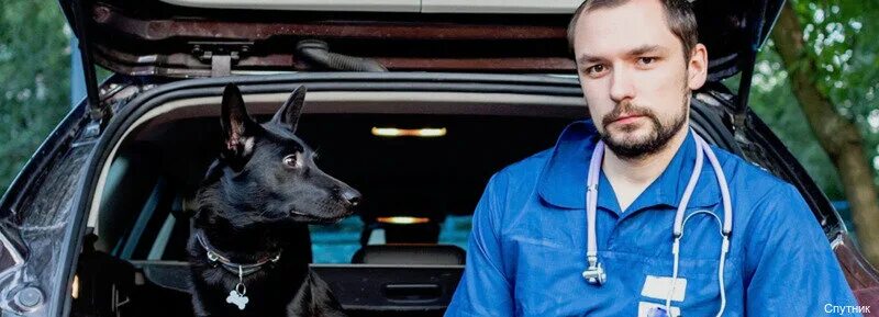 сергей середа ветеринар. середа илья владимирович. середа сергей владимирович москва.