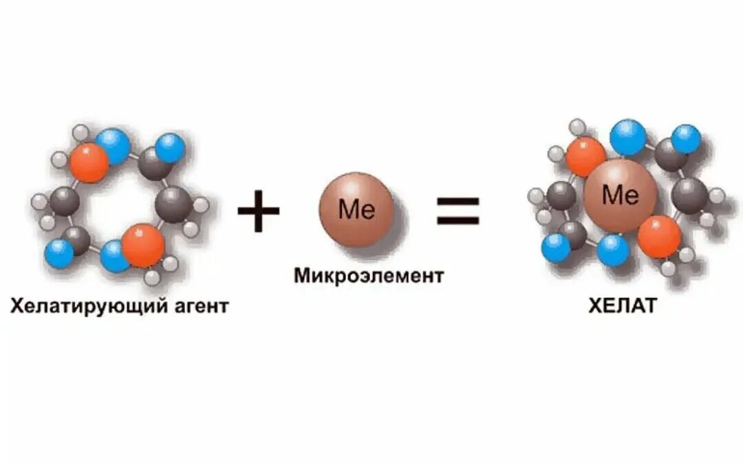 Хелат для чего нужен организму. Хелатные соединения микроэлементов. Хелатные комплексы с ионами металлов. Хелатный комплекс железа формула. Хелатная форма.