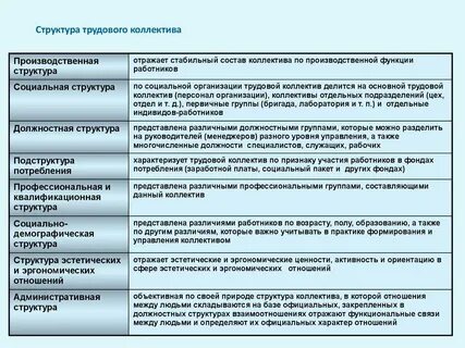 Функции трудового коллектива