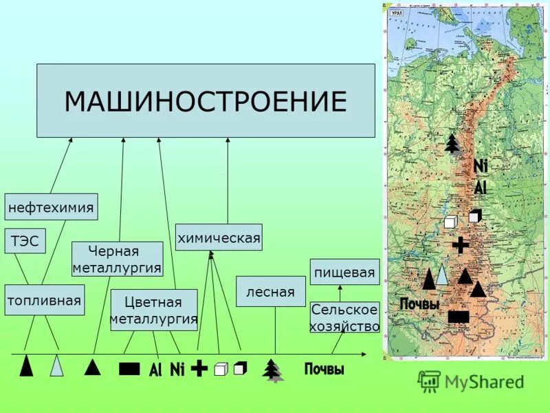 Почвы уральского экономического района