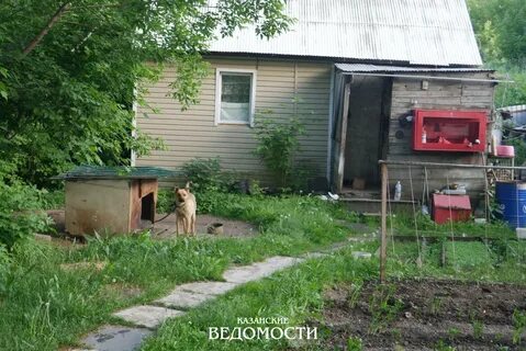 Казань снт любитель